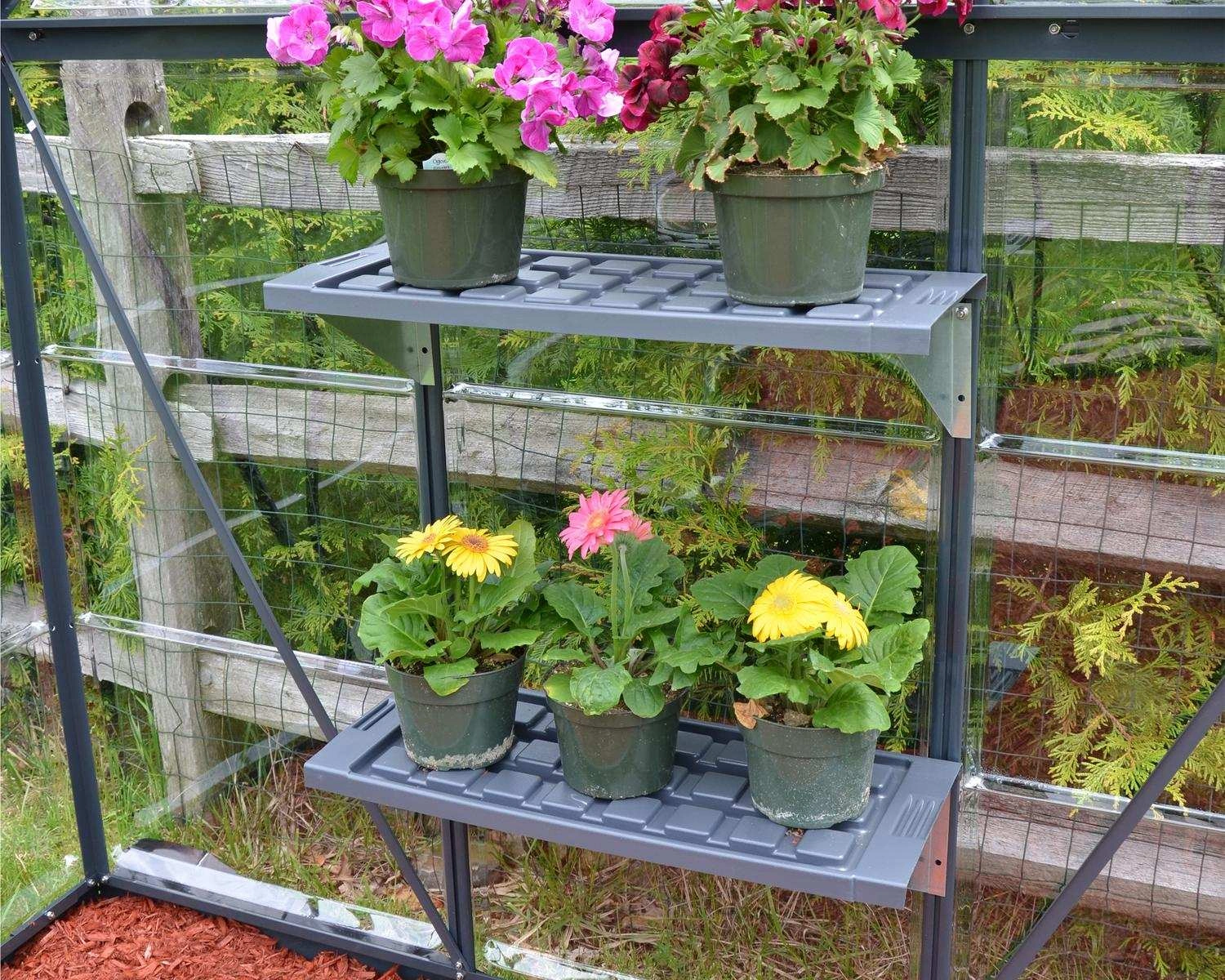 Palram Twin Shelf Kit - Image 6