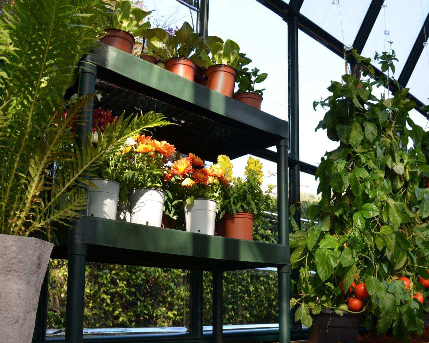Palram Two Tier Staging Bench - Image 6