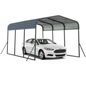 Pro-Tect 10'x15' Metal Carport Shelter Canopy - Black
